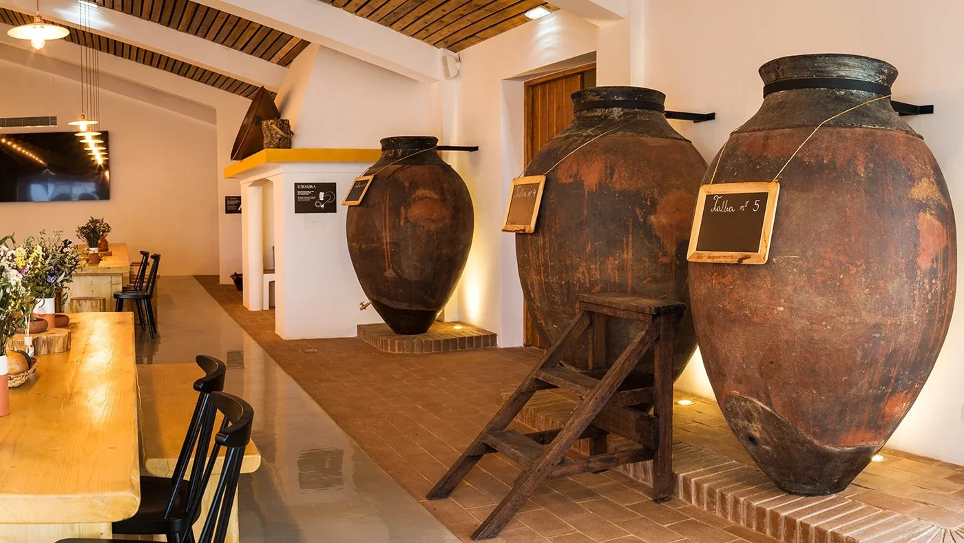 Wine Tourism Programs at Adega da Vidigueira